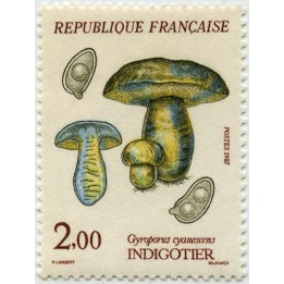 France - 2488