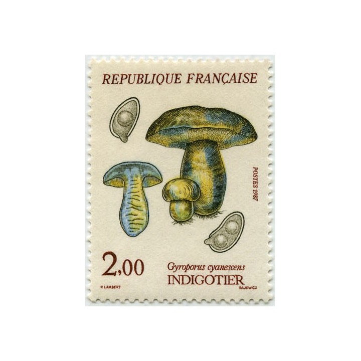 France - 2488