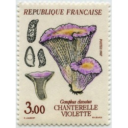 France - 2489