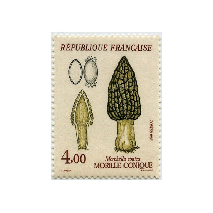 France - 2490