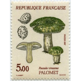 France - 2491