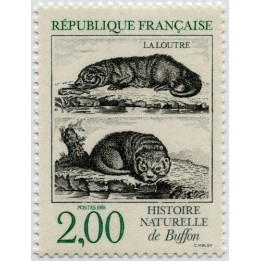 France - 2539