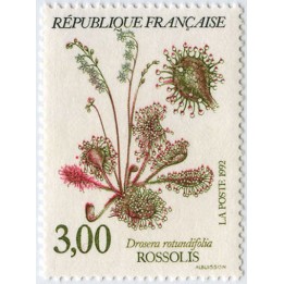 France - 2767