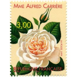France - 3248