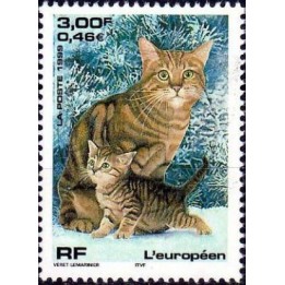 France - 3284