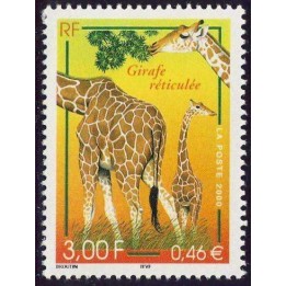 France - 3333