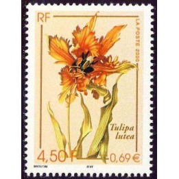 France - 3335