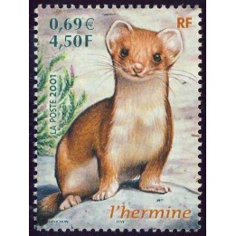 France - 3384