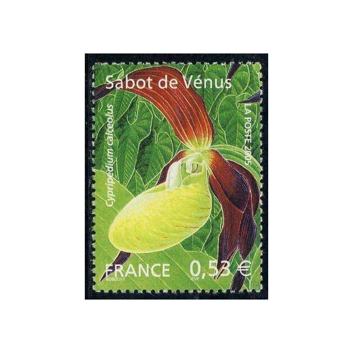 France - 3764