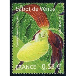 France - 3764