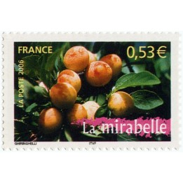 France - 3882