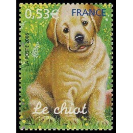 France - 3898