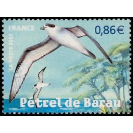 France - 4036