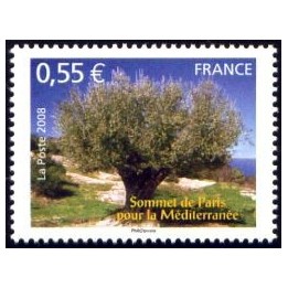 France - 4259