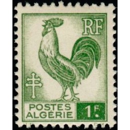 Algerie - 219