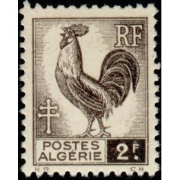 Algerie - 221
