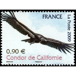 France - 4375