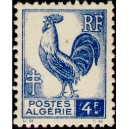 Algerie - 222