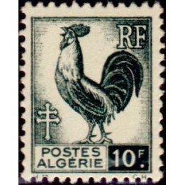 Algerie - 223