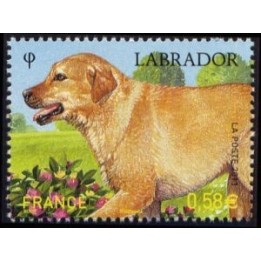 France - 4545