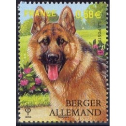 France - 4546