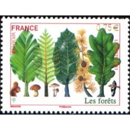 France - 4551