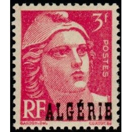Algerie - 238