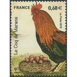 France - 5010