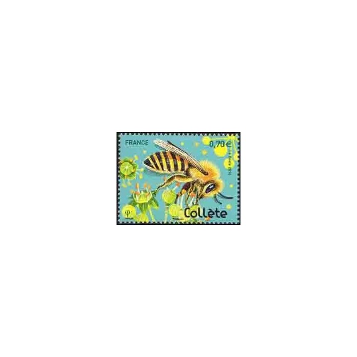 France - 5051