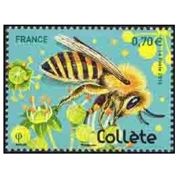 France - 5051