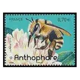 France - 5053