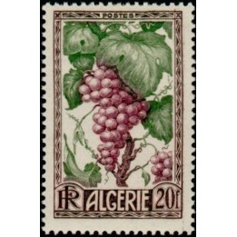 Algerie - 279
