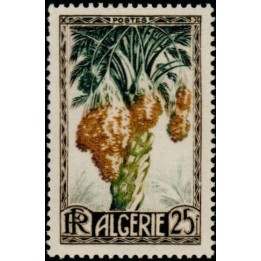 Algerie - 280