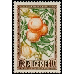 Algerie - 281