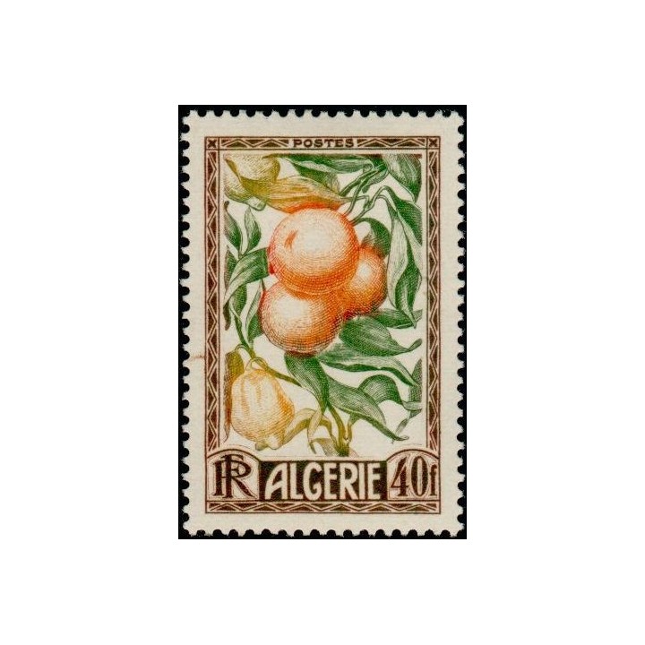 Algerie - 281