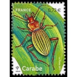 France - 5150