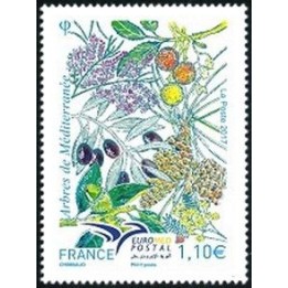 France - 5164