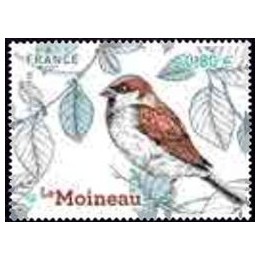 France - 5240