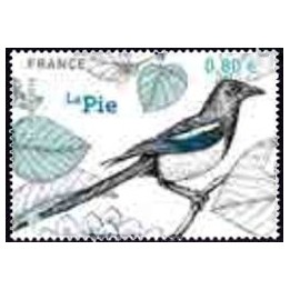 France - 5241