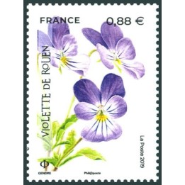 France - 5321
