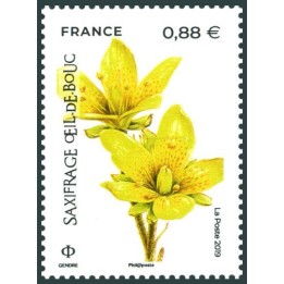 France - 5322