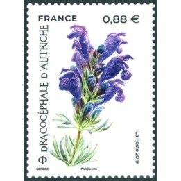 France - 5324