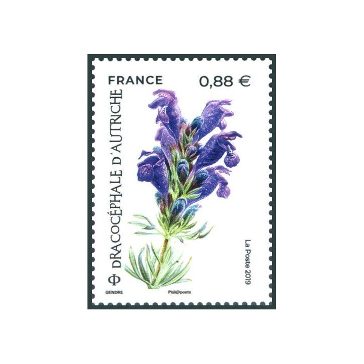 France - 5324