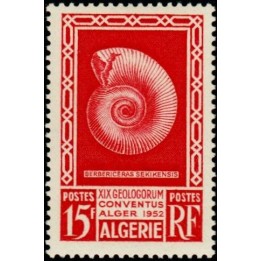 Algerie - 297