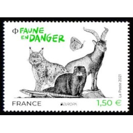 France - 5489