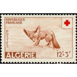 Algerie - 343