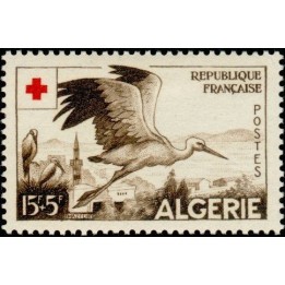 Algerie - 344