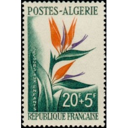 Algerie - 351