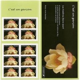 France - Carnet BC3805