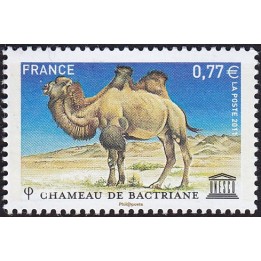 France - Service 151
